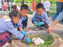 -前小桔亲子创意农场·草莓采摘·露营烧烤