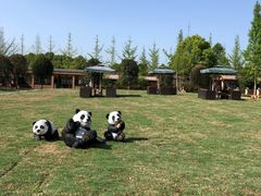 -洪湖家庭农场·团建·露营·会议