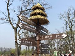 -上海长兴岛郊野公园