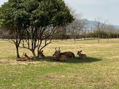 -良渚古城遗址公园