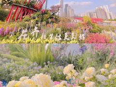 -海心沙亚运公园