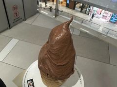 -野人先生现做冰淇淋(北京环宇荟店)