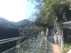 -千岛湖石林