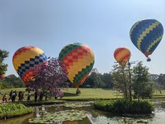 -中国科学院西双版纳热带植物园