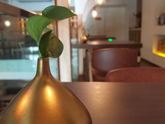 -明星酒店•FORNETTO佛纳朵意餐厅•披萨•意面(湘隆时代广场店)