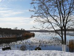 -丁香湖公园