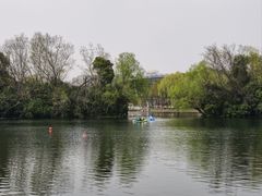 -新江湾城公园
