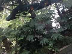 iphone_upload_pic-星巴克(西湖天地店)