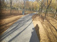 -东郊湿地公园