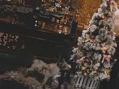 -烛影拾光观景餐厅·创意菜·摄影·小提琴(大唐不夜城店)