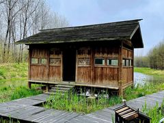 -溱湖国家湿地公园