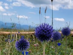 -白草畔自然风景区