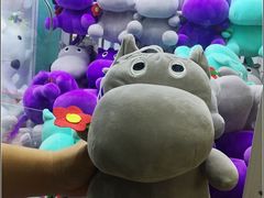 -原宿春天购物广场