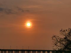 -宝安西湾红树林湿地公园