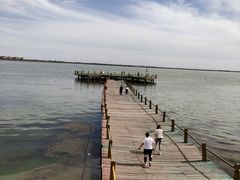 -包头南海湿地景区