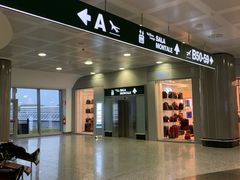 -米兰马尔彭萨国际机场