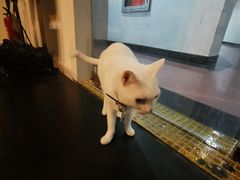 -Doors独立剧情密室(东门分店)