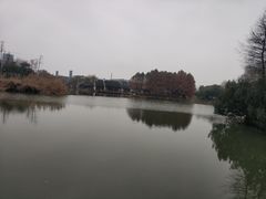 -尚贤河湿地