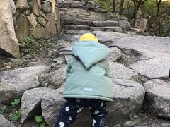 -北京鹫峰国家森林公园