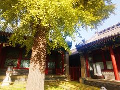 -恭王府博物馆