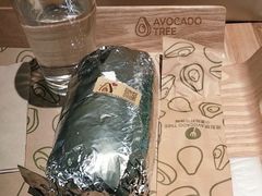 -油梨树AVOCADO TREE(嘉里中心店)