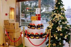 -新生植发·植养护一体