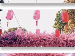 -南汇桃花村