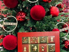 -Laderach 莱德拉(上海环贸iapm店)