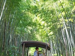-同里国家湿地公园