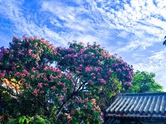 -天津妈祖文化园