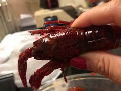 -霸王虾·麻辣小龙虾(清水河公园店)