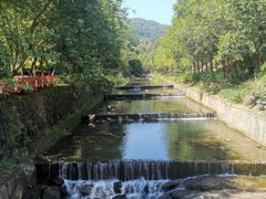 -广州白江湖森林公园