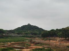 -立新湖公园