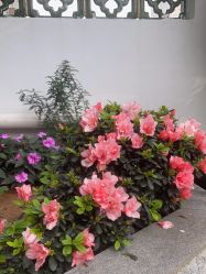 -KK瑜伽·普拉提