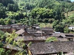 -杨家堂村