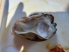 -蚝堡海鲜·威海菜·海肠捞饭·烧烤·亚洲吃蚝公司(幸福门店)