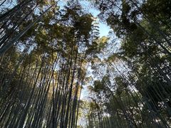 -宝石山