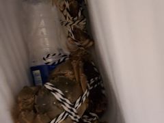 -七的湖·晚芳亭·阳澄湖农家菜·大闸蟹(莲花岛店)
