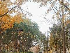 -德胜公园