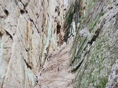-镇江市南山风景名胜区竹林景区