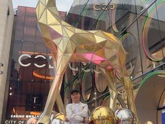 -澳门威尼斯人综合度假区