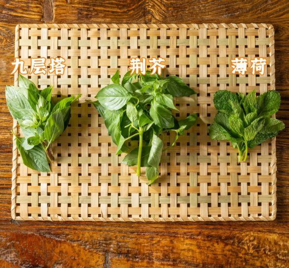 如何区分荆芥,九层塔和薄荷