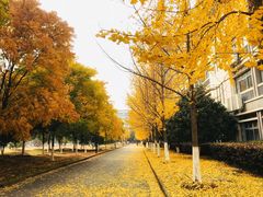 -江南大学(蠡湖校区)