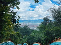 -西双版纳勐泐文化旅游区