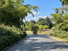 -中国科学院西双版纳热带植物园