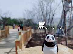 -定都阁