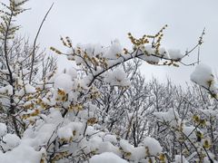 -南京师范大学仙林校区-内部地面停车场