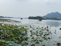 -茗醉园茶楼