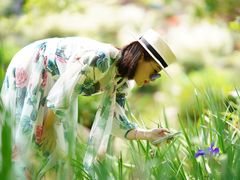 -深圳仙湖植物园-停车场