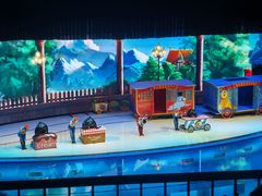 -上海海昌海洋公园